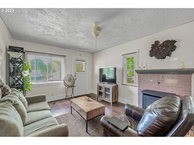 Fireplace Insert