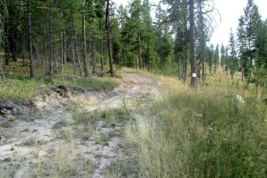 189 Torto Loop, Kila, MT 59920 - photo 6