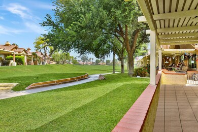 Back Patio View