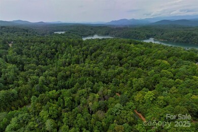 377 Harborside Dr unit 245, Nebo, NC 28761 - photo 2