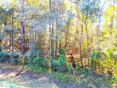 00 County Road 065, Jasper, TX 75951 - photo 5