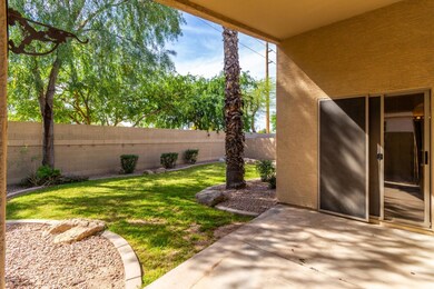 BACK YARD AND PATIO