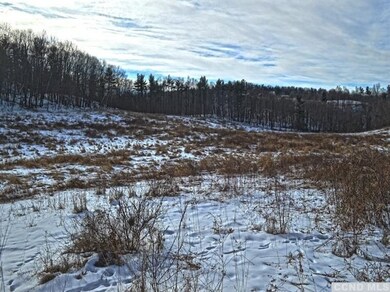 1 Thomas Rd, Old Chatham, NY 12136 - photo 4