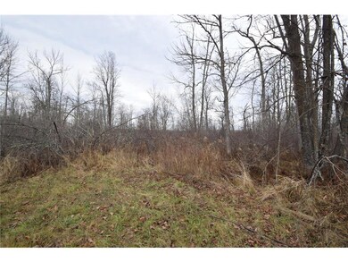 0 Cummings Rd, Dairyland, WI 54830 - photo 4