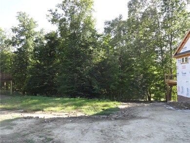Wooded views near McFarland Creek with lawn and sn