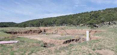 3277 Talmage Rd, Fort Garland, CO 81133 - photo 6