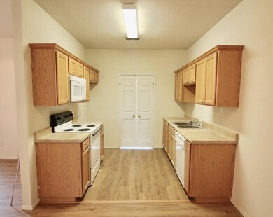 114 Collett Ct, Weatherford, TX 76088 - photo 6