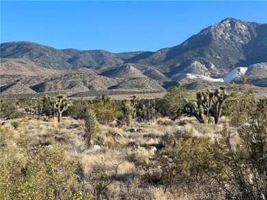 776 Silver Creek Canyon Rd, Lucerne Valley, CA 92356 - photo 2