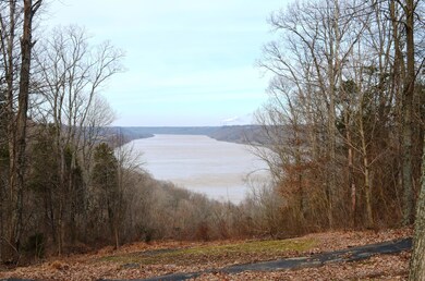 d river view from house