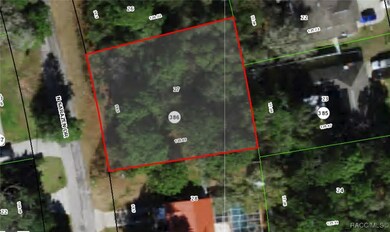 8363 N Sarazen Dr, Citrus Springs, FL 34434 - photo 3