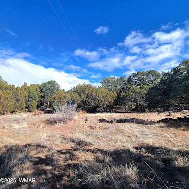 0 S Spanish unit 258796, Eagar, AZ 85925 - photo 5