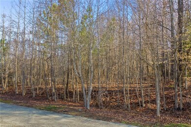 3927 Fox Grove Trail, Greensboro, NC 27406 - photo 6