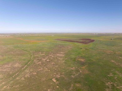 40_Acres_Stoker-8
