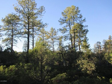 Photo 03
