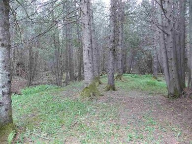 1815 Sheffield Rd, Sutton, VT 05867 - photo 5