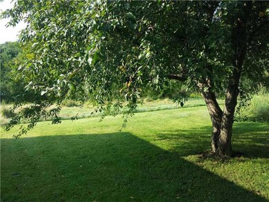 Yard/Garden.