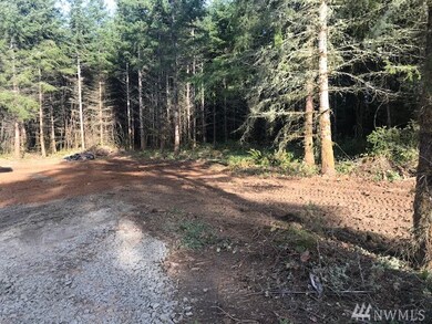 150 Nelson Rd, Winlock, WA 98596 - photo 3