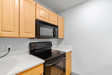 Crossroads on the Charles unit 302, Watertown, MA 02472 - photo 5