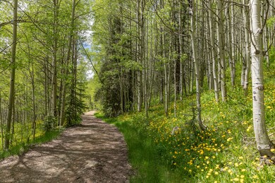 PeidmontTrail