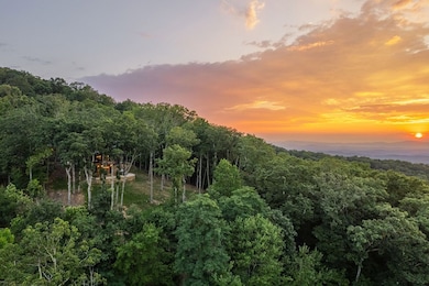 224 Eagle Ridge, Morganton, GA 30560 - photo 3