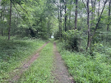 9283 E 250 S, Pierceton, IN 46562 - photo 3