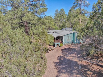 Nestled in the pines