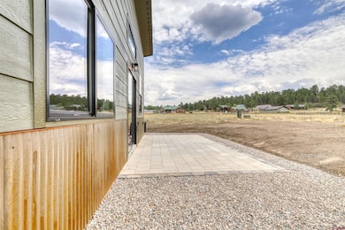 45 Scratch Ct, Pagosa Springs, CO 81147 - photo 7
