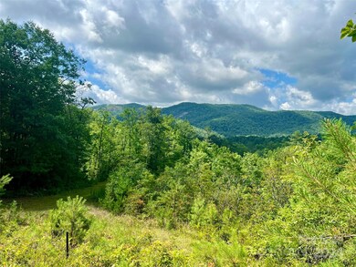 667 Laurel Thicket Ln, Brevard, NC 28712 - photo 5