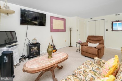 Thunder Island unit 5A, Ocean City, MD 21842 - photo 5