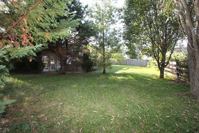 Back Yard (2)