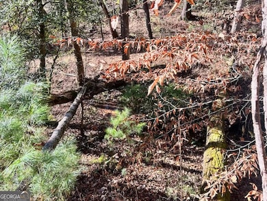 0 Corinth Church Rd unit 10656398, Cleveland, GA 30528 - photo 6