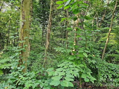 00 General Griffith Cir unit 31, Rutherfordton, NC 28139 - photo 7