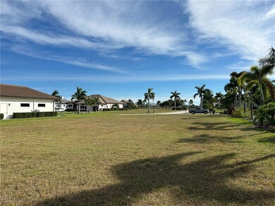 View of the yard looking from the seawall to the front, road.