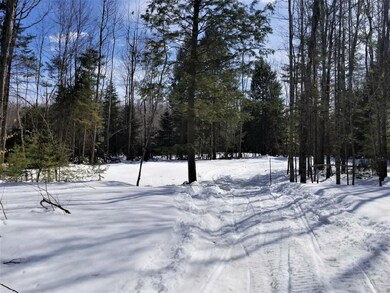 Looking at the back field from the...