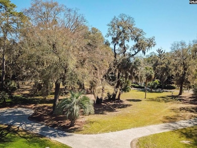 18 Tabby Cir, Daufuskie Island, SC 29915 - photo 6