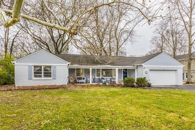 When your sycamore tree drops its leaves, the white bark is a beautiful sight!