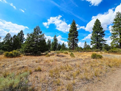 0 Swan Dr unit 16 & 17 220209213, Bonanza, OR 97623 - photo 4