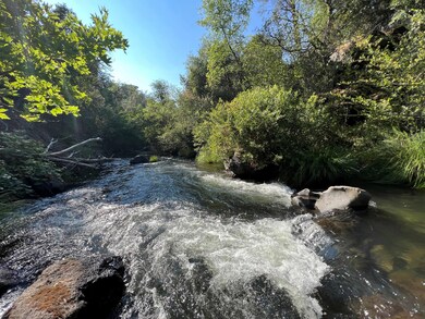 21675 Wildcat Rd, Paynes Creek, CA 96075 - photo 6