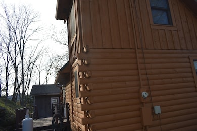 4755 Medley Amonette Rd, Buffalo Valley, TN 38548 - photo 3