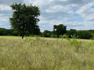 17028 Trailwood Dr, Whitney, TX 76692 - photo 2