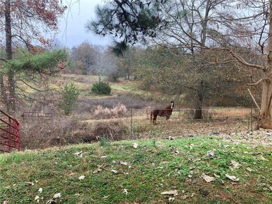 horse pasture