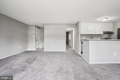 534 Wilson Bridge Dr unit C-1, Oxon Hill, MD 20745 - photo 4