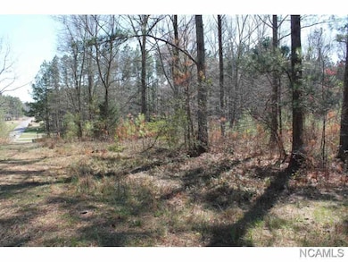 Lot 71 S Montcrest Dr, Cullman, AL 35057 - photo 5