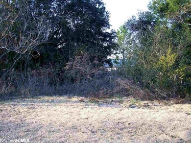 0 Northshore Dr unit 264685, Gulf Shores, AL 36542 - photo 4