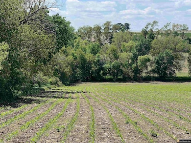Parcel 6 Spring Saunders County Acreages County Rd, Yutan, NE 68073 - photo 3