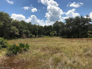 1809 Truman Ave, Lehigh Acres, FL 33972 - photo 2