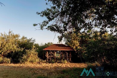 1301 N Canal St, Carlsbad, NM 88220 - photo 5