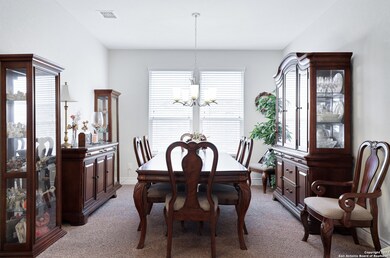 10835 Red Sage, Helotes, TX 78023 - photo 5