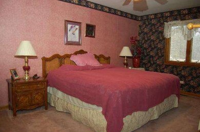 234 Sunset Dr, Carpentersville, IL 60110 - photo 5