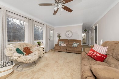 733 Hazen St, Paw Paw, MI 49079 - photo 4